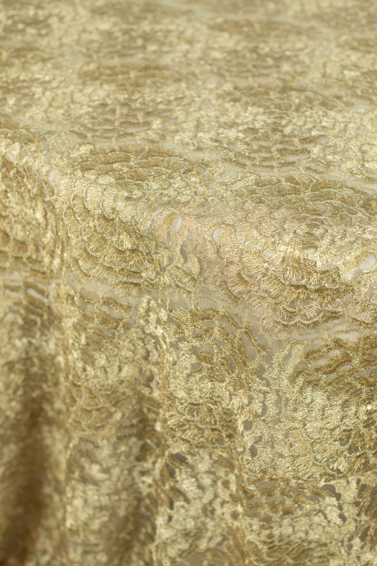 Eyelash Gipoor Gold 2 - Curated Linen Collection Eyelash Gipoor Gold 2